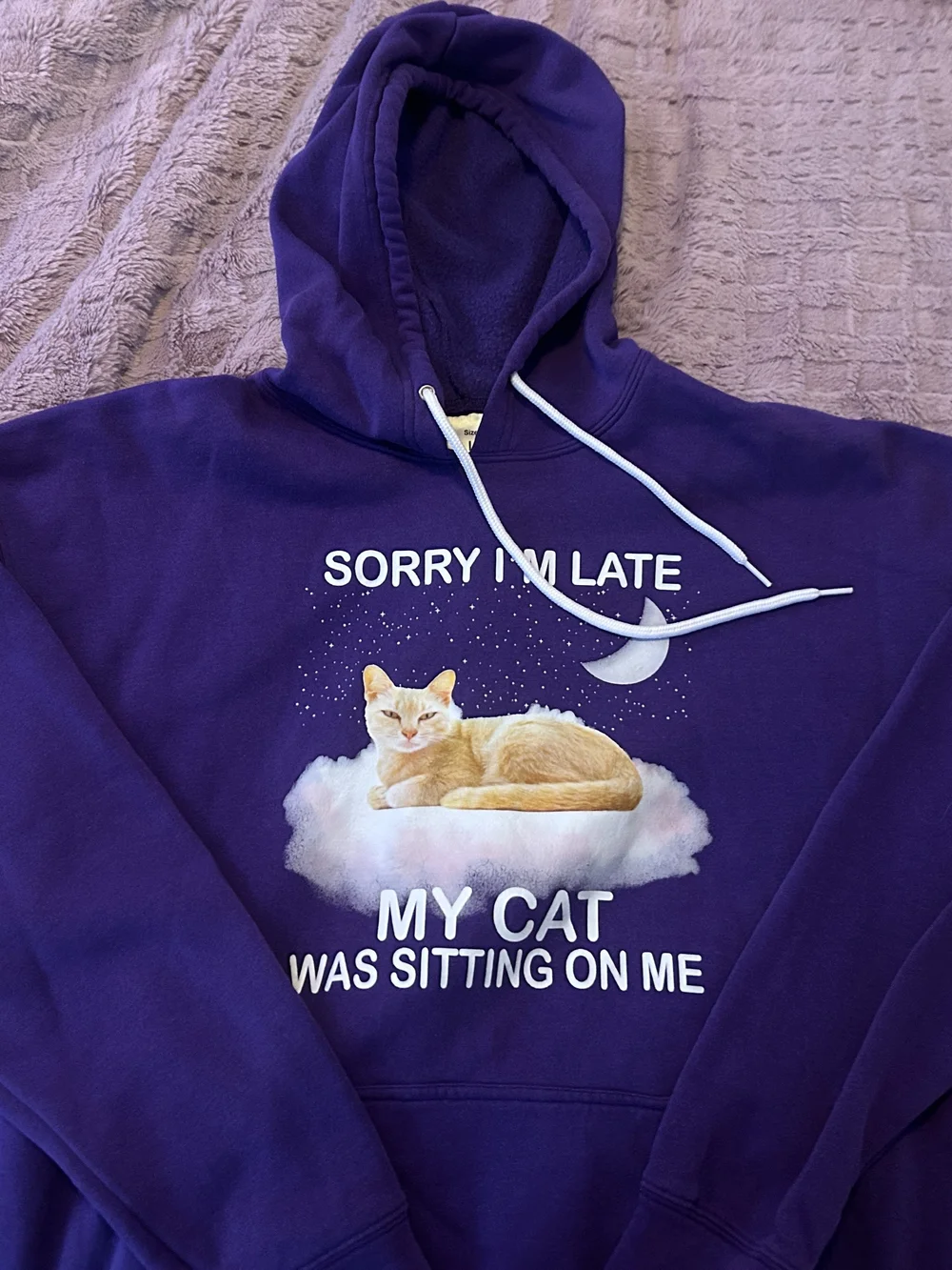 Purple Cat Hoodie - 'Sorry I'm Late My Cat Was Sitting On Me'